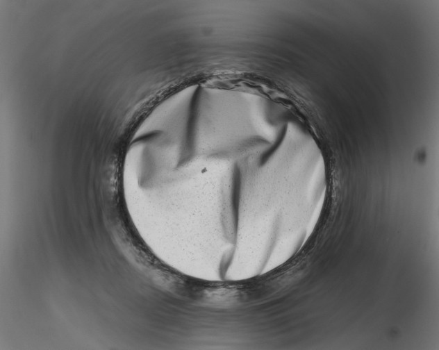 X0000116780362201001071242