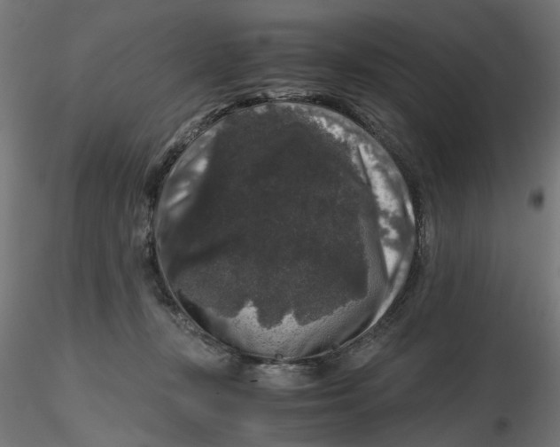 X0000116780367201001071242