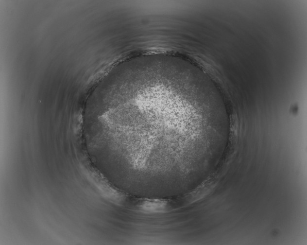 X0000116780369201001071242