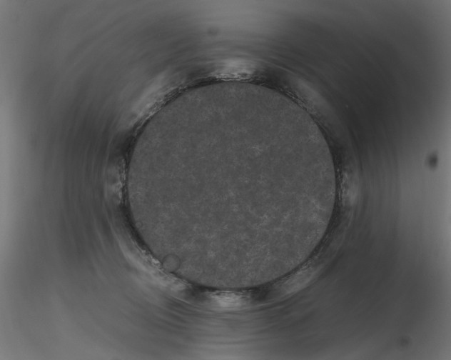 X0000116780370201001071242