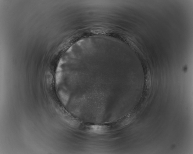 X0000116780371201001071242