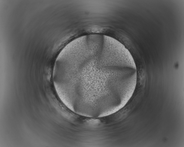 X0000116780374201001071242