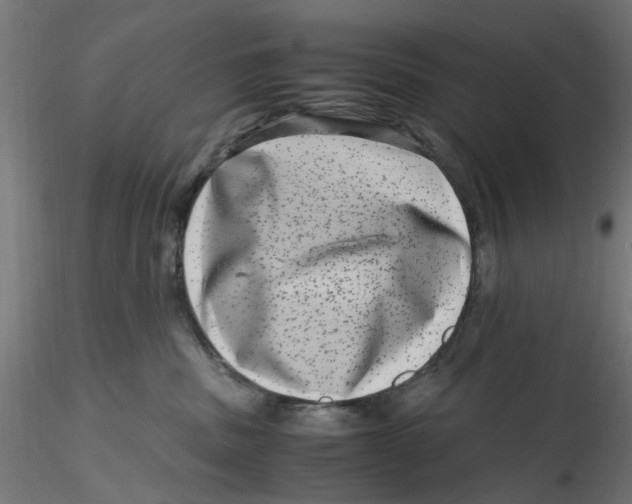 X0000116780379201001071242