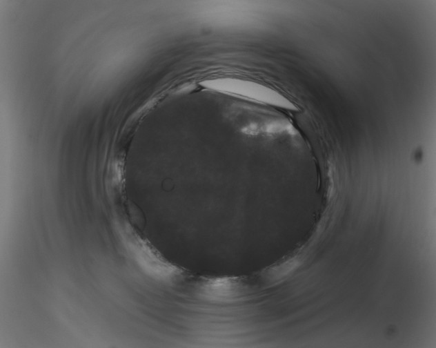 X0000116780382201001071242