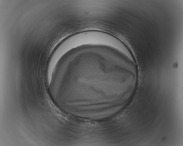 X0000116780386201001071241