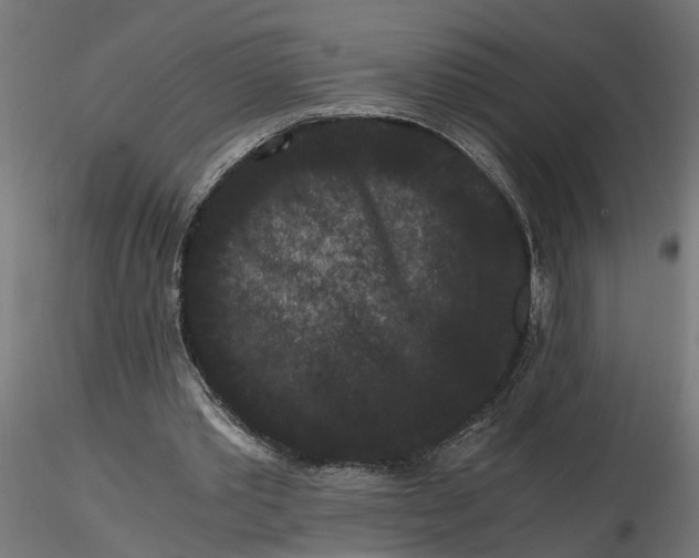 X0000116780389201001071241