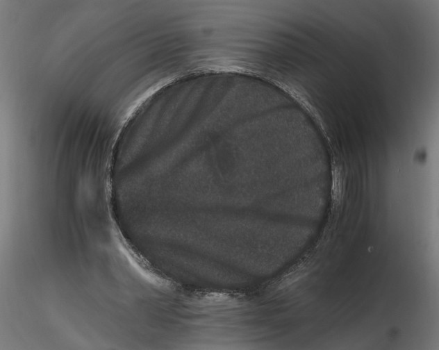 X0000116780390201001071241