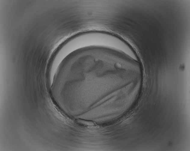 X0000116780391201001071241