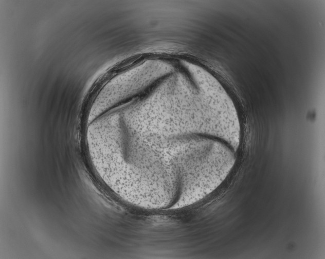 X0000116780392201001071241