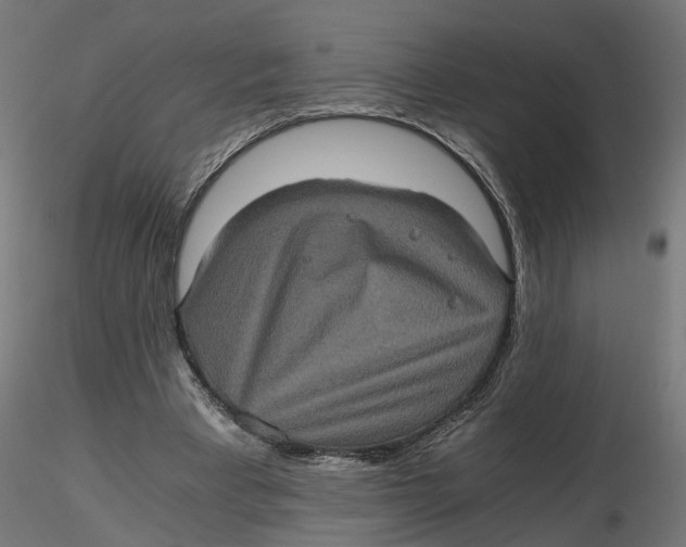 X0000116780393201001071241