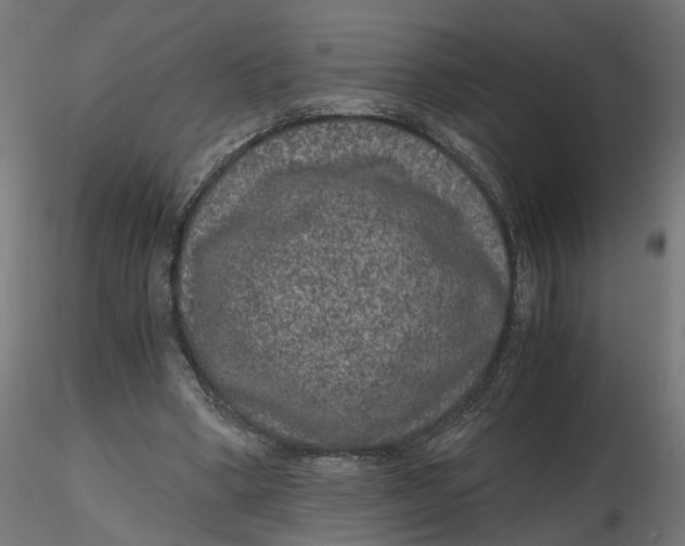 X0000116780394201001071241