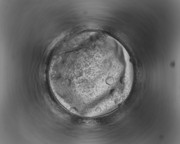 X0000116780395201001071241