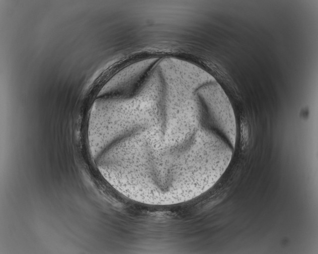 X0000116780396201001071241