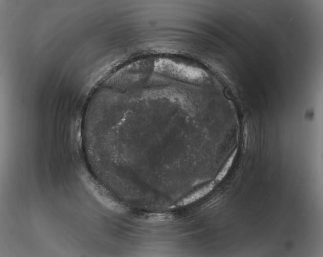 X0000116780398201001071241