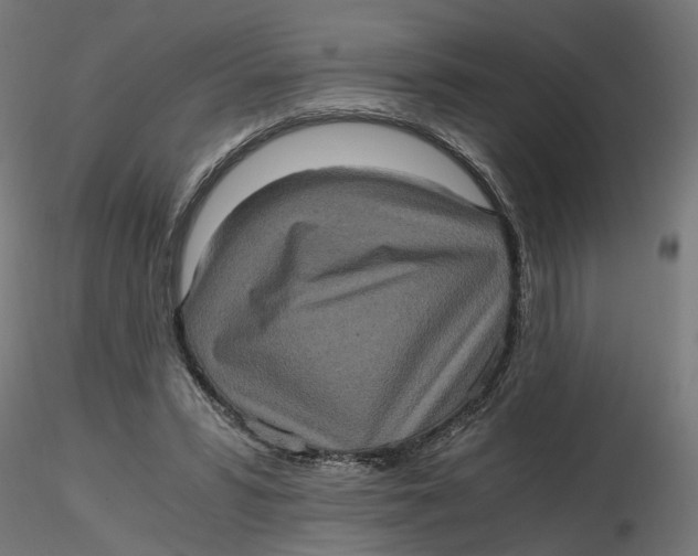 X0000116780399201001071241