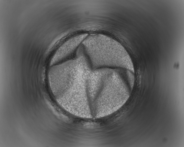 X0000116780400201001071241