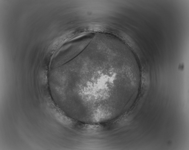 X0000116780401201001071241