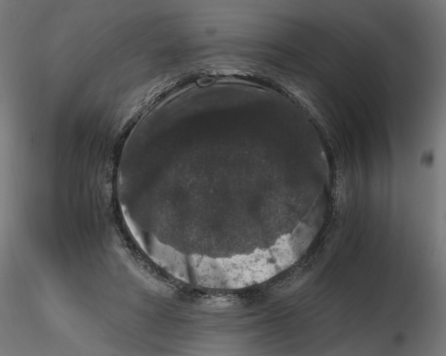 X0000116780402201001071241