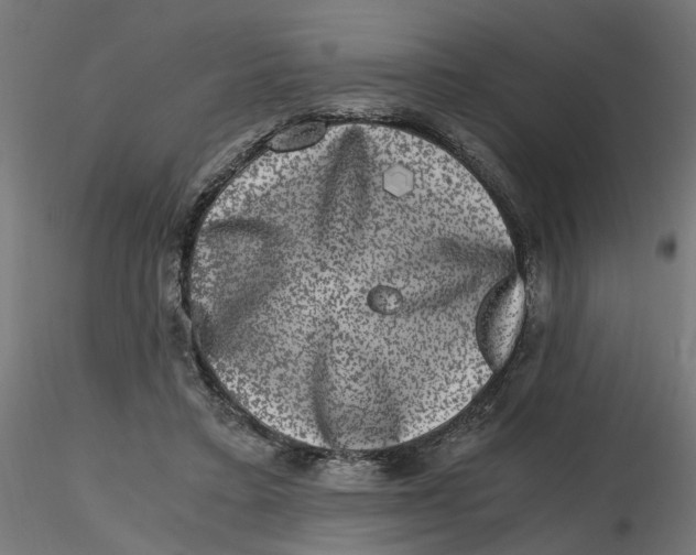 X0000116780403201001071241