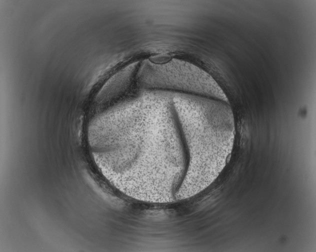 X0000116780404201001071241