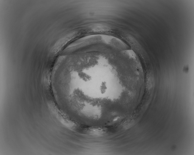 X0000116780405201001071241