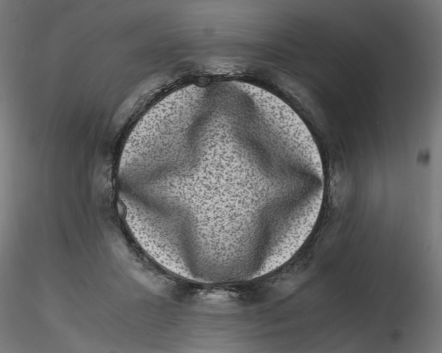 X0000116780407201001071241