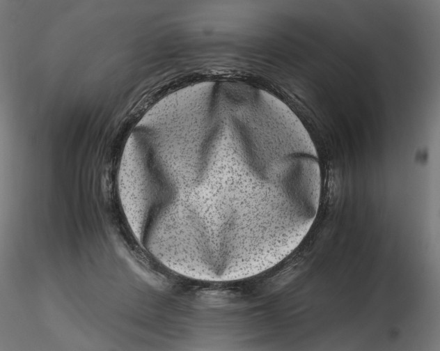 X0000116780408201001071241