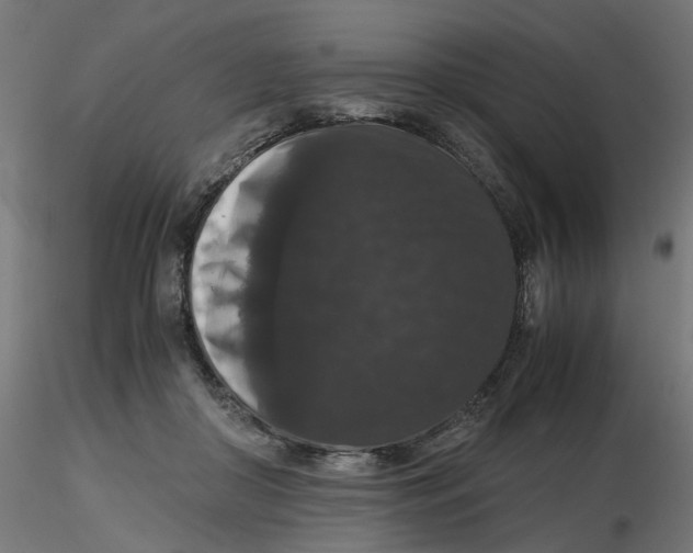 X0000116780410201001071241