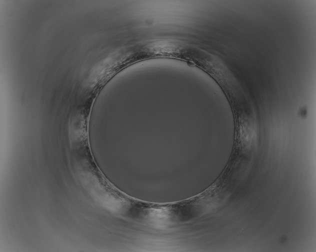 X0000116780411201001071241