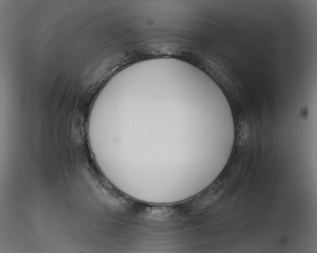 X0000116780414201001071241