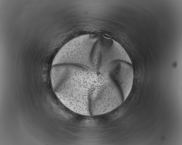 X0000116780416201001071241