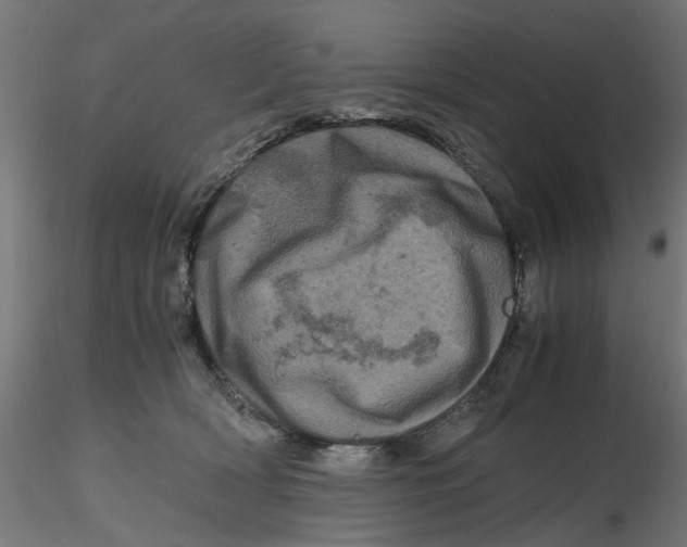 X0000116780418201001071241