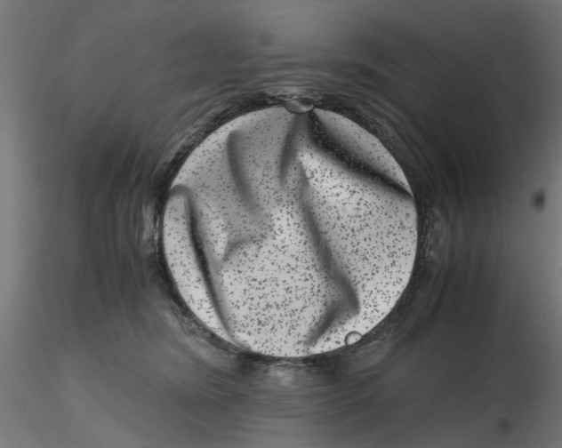 X0000116780420201001071241