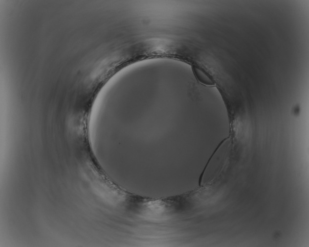 X0000116780423201001071241