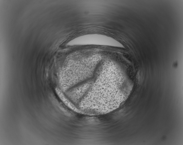 X0000116780424201001071241