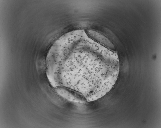 X0000116780425201001071241