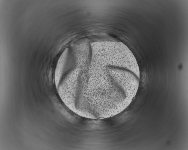 X0000116780428201001071241