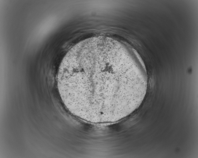 X0000116780429201001071241