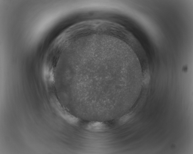 X0000116780431201001071241