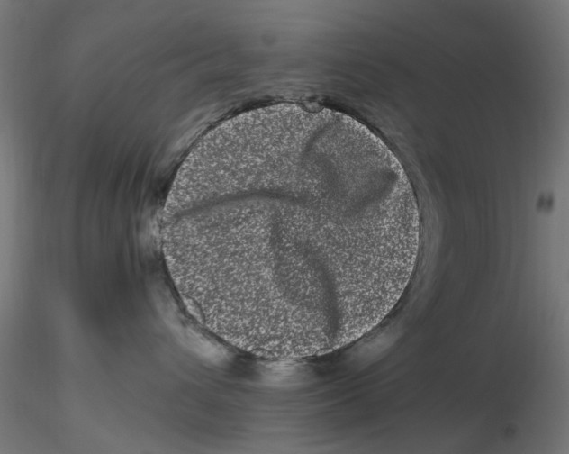 X0000116780432201001071241