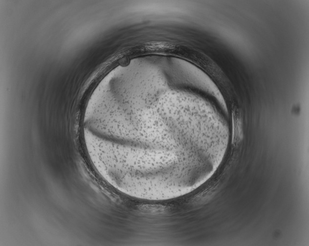 X0000116780435201001071240