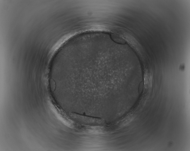 X0000116780436201001071240