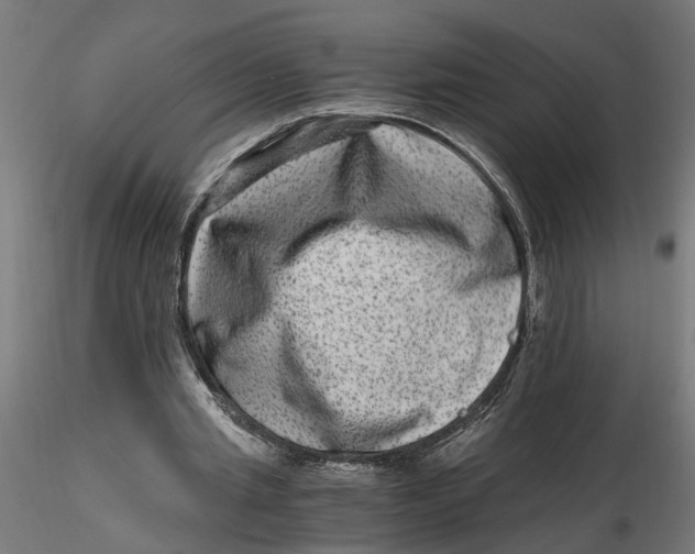 X0000116780437201001071240