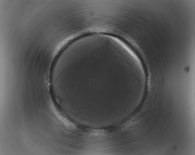 X0000116780438201001071240