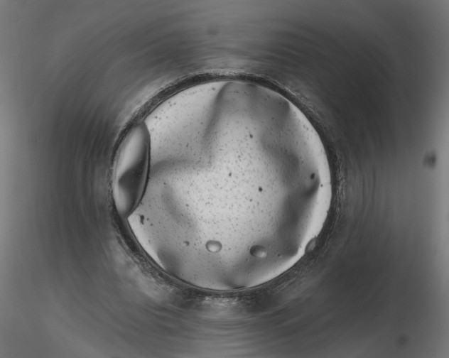 X0000116780440201001071240