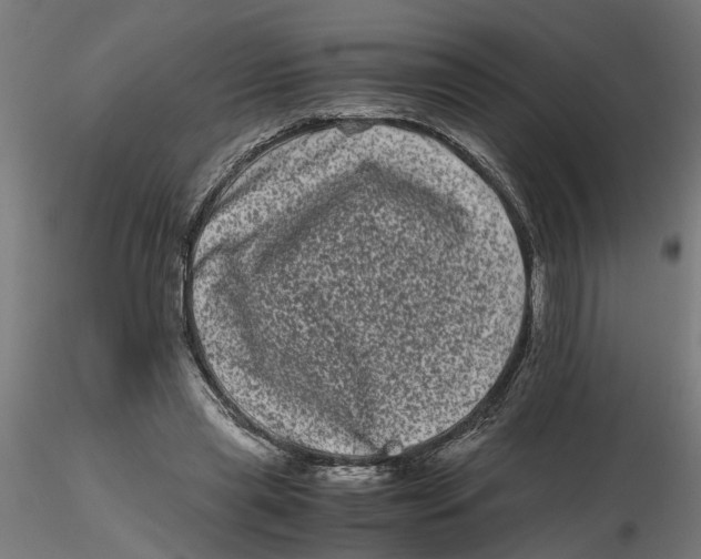 X0000116780445201001071240