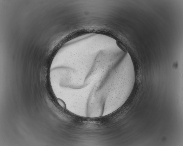 X0000116780448201001071240