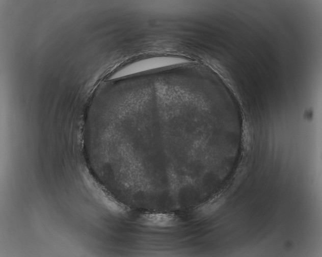 X0000116780449201001071240