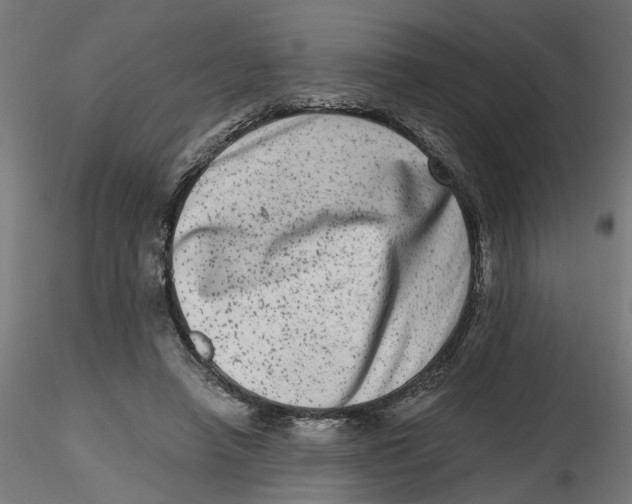 X0000116780450201001071240