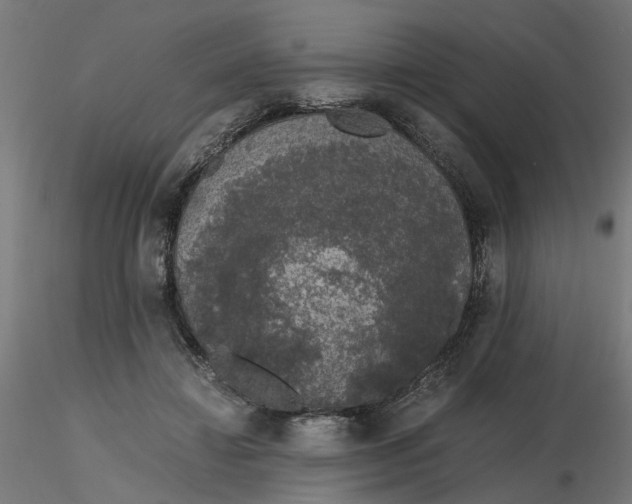 X0000116780452201001071240